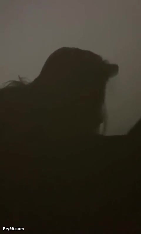 Frame 6