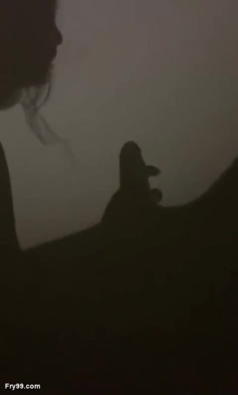 Frame 8