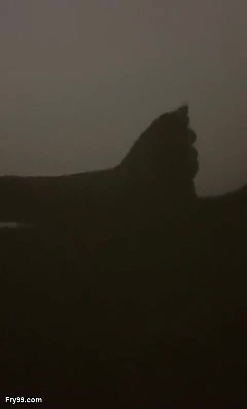 Foreplay shadow show mallu girl