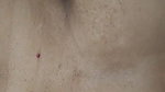 Hot desi bhabhi fuck by husbend romantic