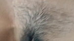 Husband and wife first’ video Sex, Rajasthani couple full enjoy
