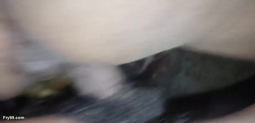 Frame 6