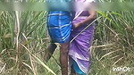 Indian brother step sister outdoor sex