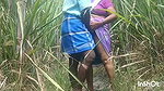 Indian brother step sister outdoor sex