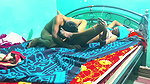 Indian Desi Bihari village sex dost ki behen ki chudai land chusayi hardcore sex
