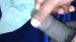 Lavanya Koothi