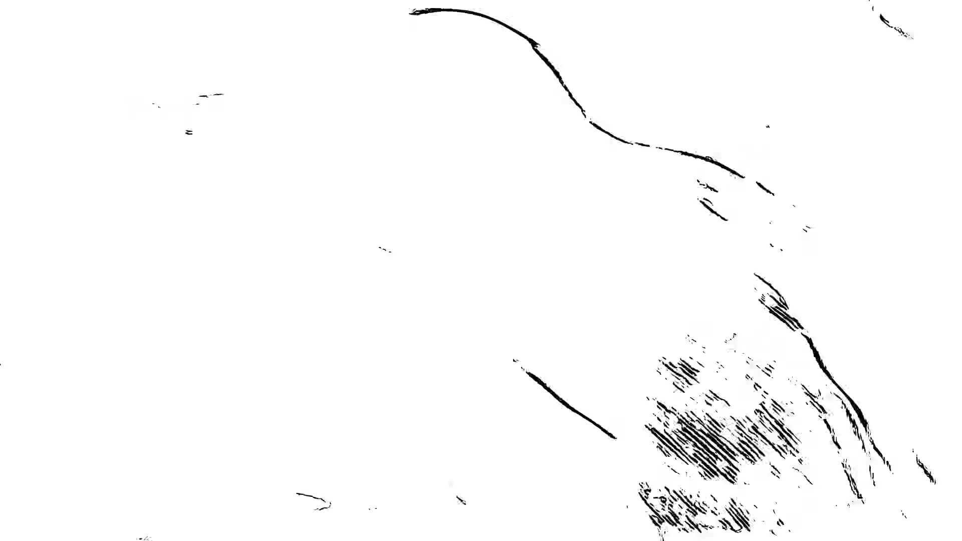 Frame 8