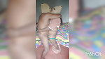 My servant performance videos