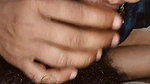 Neighbor’s sister-in-law spilled semen in her mouth