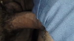 new couple step-husband video