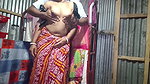 New Desi video xxx