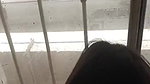 Part 2 Stranger Desi girl miss mahi 2007 stripped and fuck her