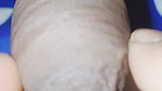 Pink Closeup pussy and dick sex