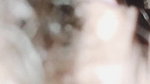 Pink Closeup pussy and dick sex