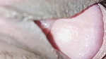 Pink Closeup pussy and dick sex