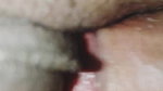 Pink Closeup pussy and dick sex
