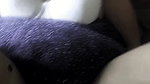 Slow motion Sex of Big juicy Boobs Desi Housewife