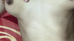 Step sis first time hard fuck video