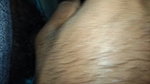 Tamil desi boy Lund deka cum wala in secretly new Tamil boy’ in room new boy in desi boy Lund wala cum wala took out cum