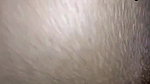 Indian village desi tamil couple fuck