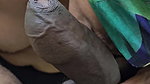 Desi Indian Slutty Sucking