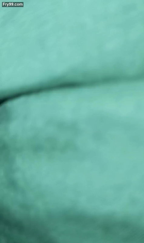 anal fucking from behind when nobody was home